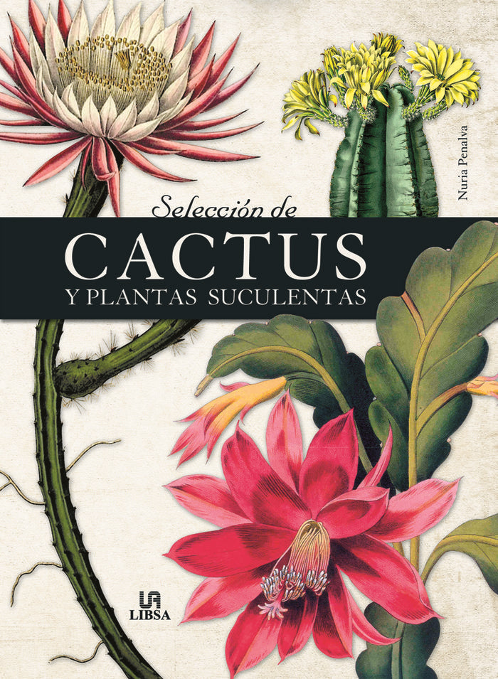 SELECCION DE CACTUS Y PLANTAS SUCULENTAS - 9788466241021 Imagen principal del producto