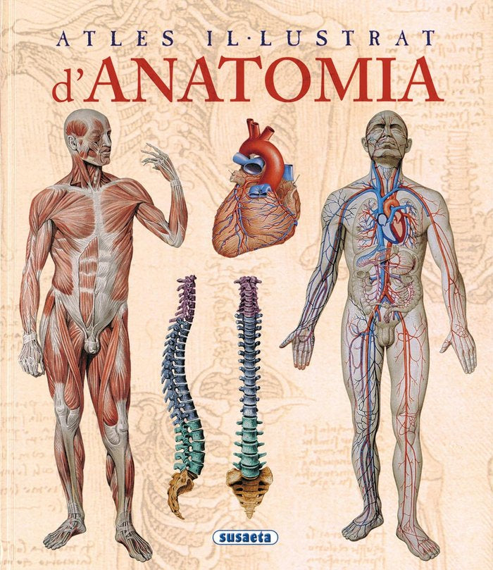 ATLES ILLUSTRAT DANATOMIA - 9788467702101
