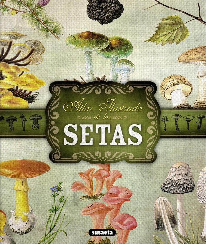 ATLAS ILUSTRADO DE SETAS - 9788467722871