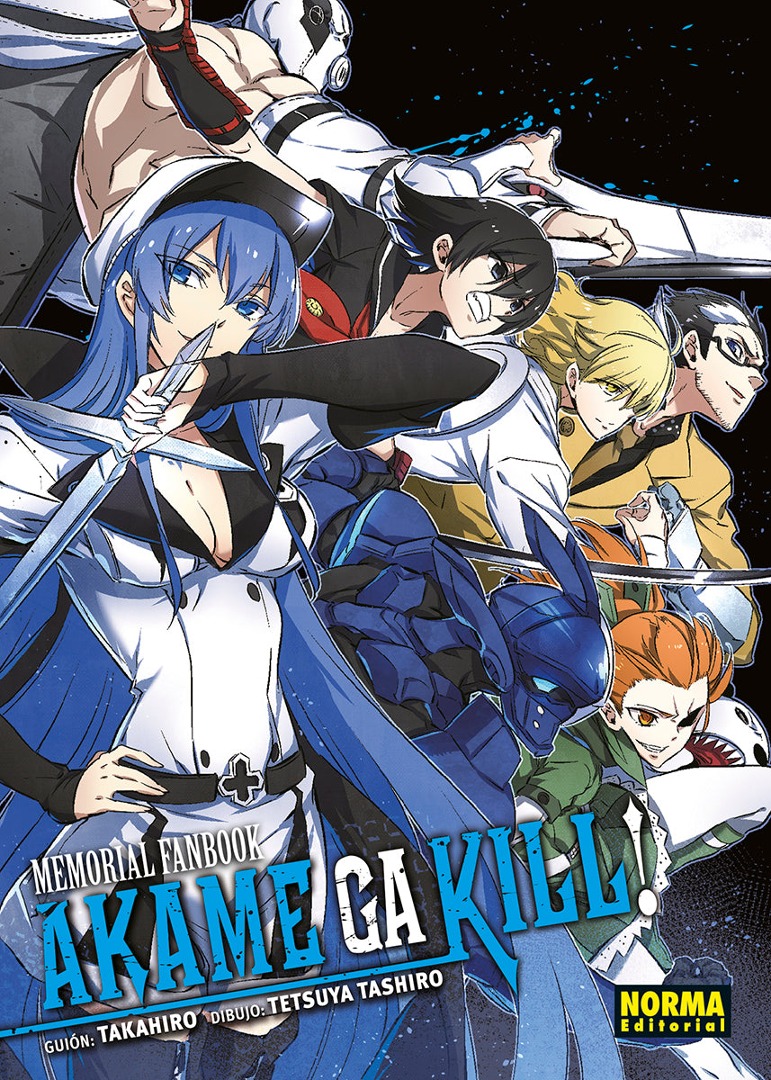 AKAME MEMORIAL FANBOOK Imagen principal del producto