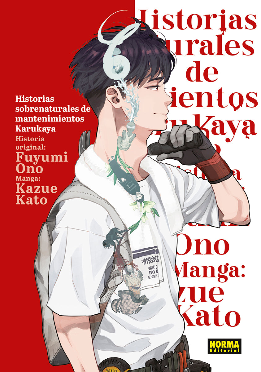 HISTORIAS SOBRENATURALES DE MANTENIMIENTO DE KARUKAYA