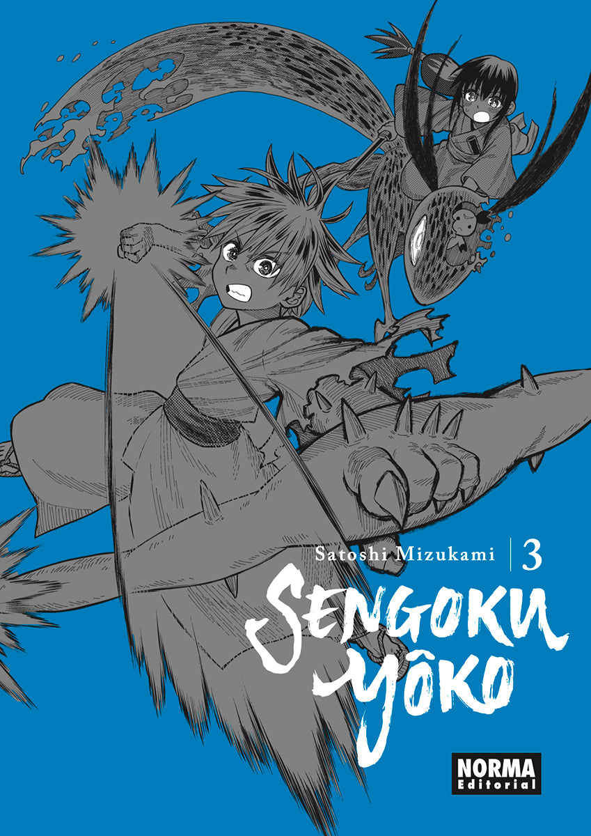 SENGOKU YOKO 03 Imagen principal del producto
