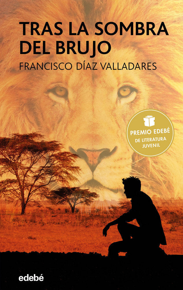 TRAS LA SOMBRA DEL BRUJO PREMIO EDEBE 2017 | Diaz Valladares,francisco | 9788468332741 (Edebe)