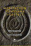 VIPASSANA & GESTALT | DHIRAVAMSA/JOSE DIAZ, JUAN | BUBOK PUBLISHING | 9788468534251