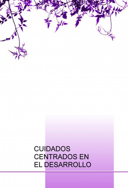 CUIDADOS CENTRADOS EN EL DESARROLLO - 9788468658124 Imagen principal del producto