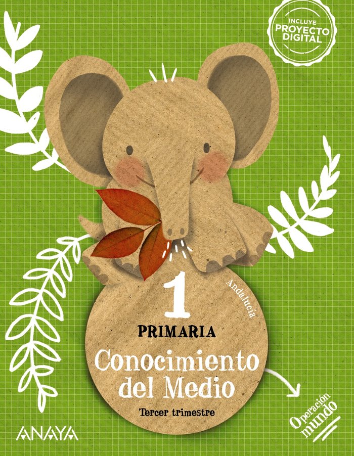 CONOCIMIENTO MEDIO 1oEP ANDALUCIA CUADRICULA 23 | AA,VV | 9788469895450 (Anaya Texto) Imagen principal del producto