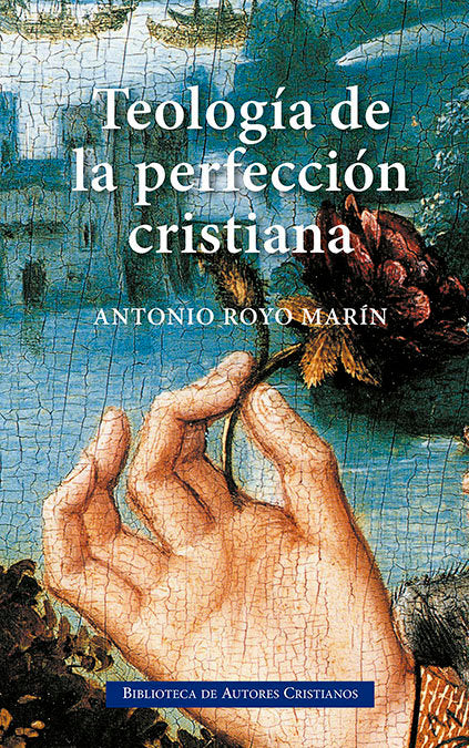 TEOLOGIA DE LA PERFECCION CRISTIANA - 9788479141288 Imagen principal del producto