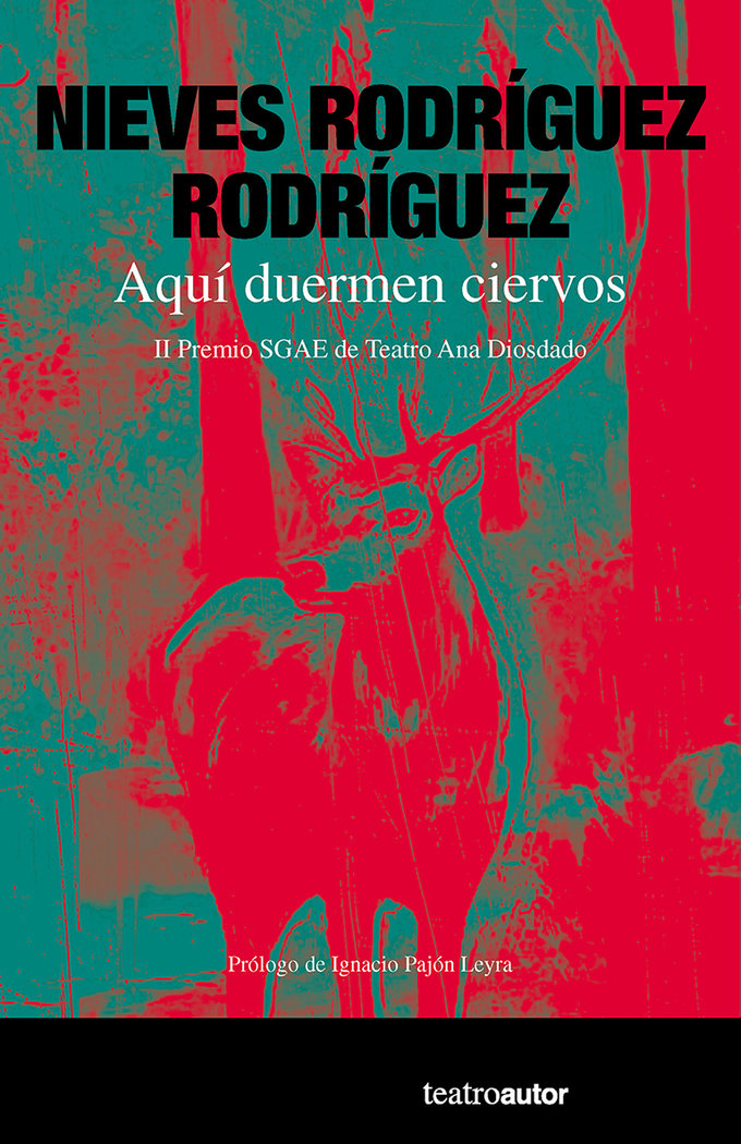 AQUI DUERMEN CIERVOS - 9788480489263