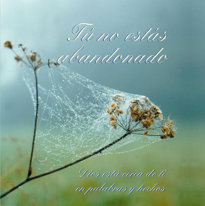 TÚ NO ESTAS ABANDONADO I Gabriele I Editorial Gabriele La Palabra I 9788482510750