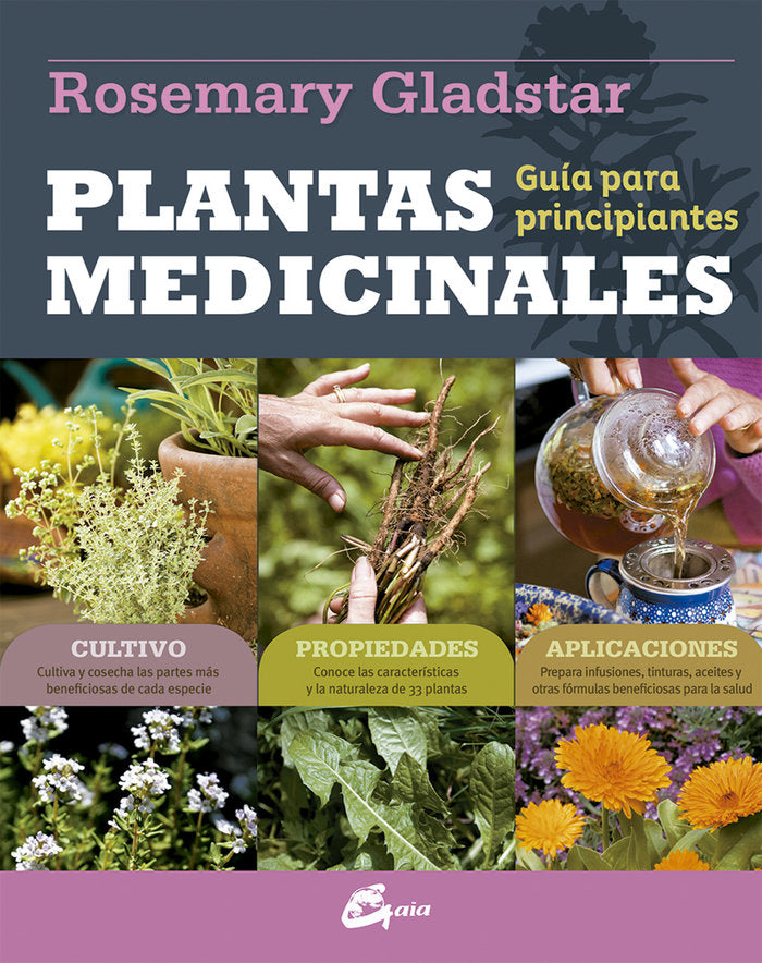 PLANTAS MEDICINALES - 9788484456094