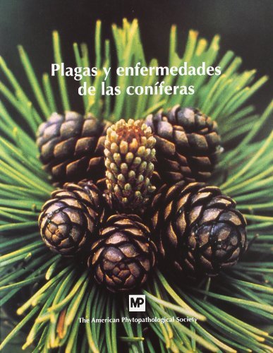 PLAGAS Y ENFERMEDADES DE LAS CONIFERAS MUNDIPRENSA - 9788484760672 Imagen principal del producto