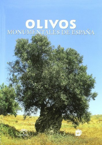 OLIVOS MONUMENTALES DE ESPAÑA - 9788484762157 Imagen principal del producto