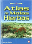 MALAS HIERBAS - 9788484762881