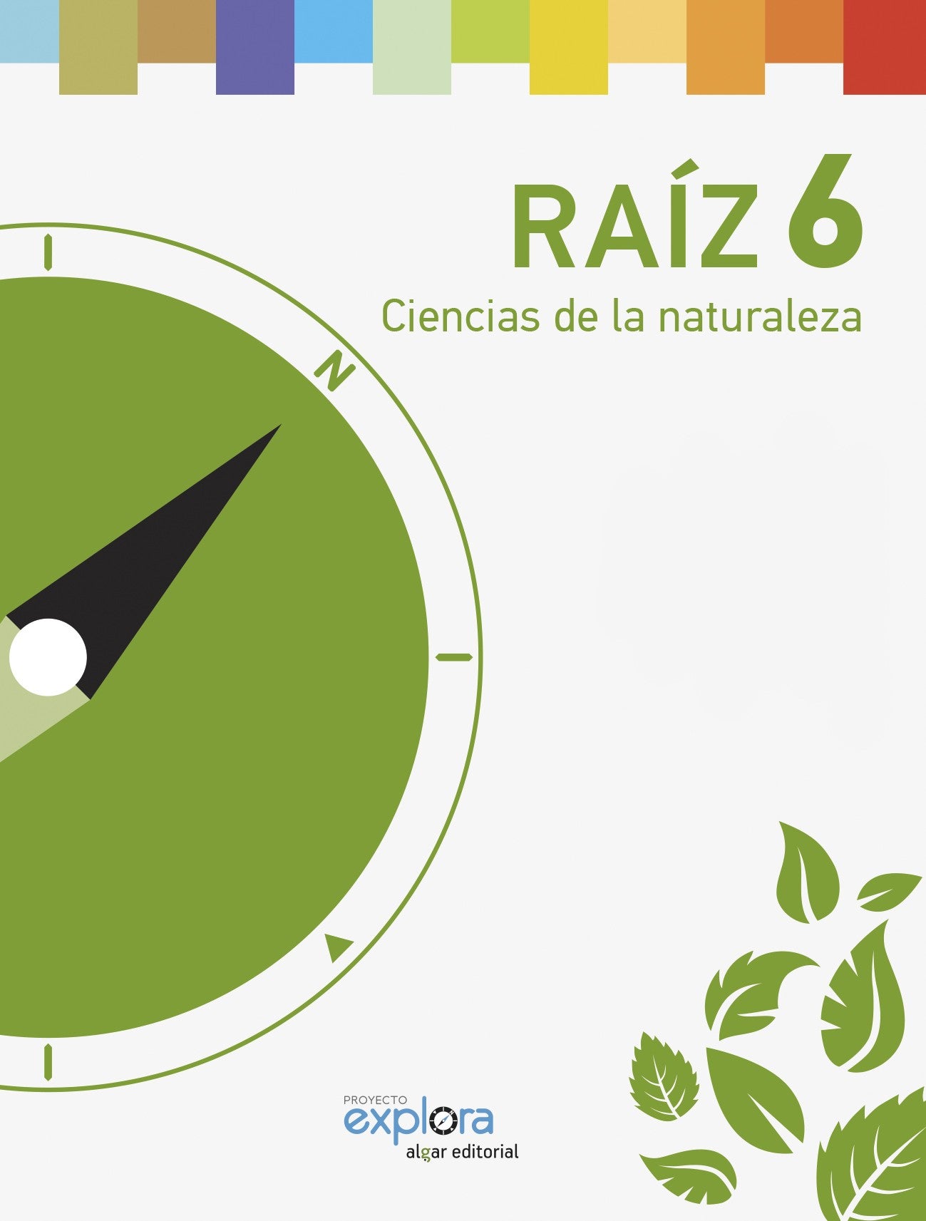 Raíz 6
