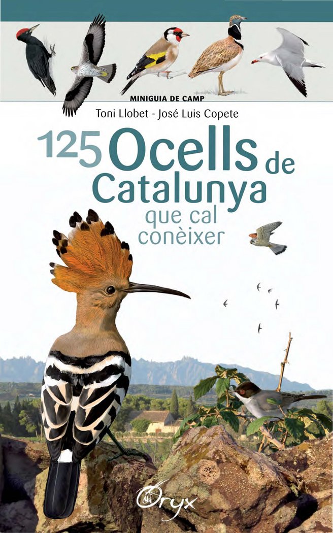 125 OCELLS DE CATALUNYA - 9788490346747 Imagen principal del producto
