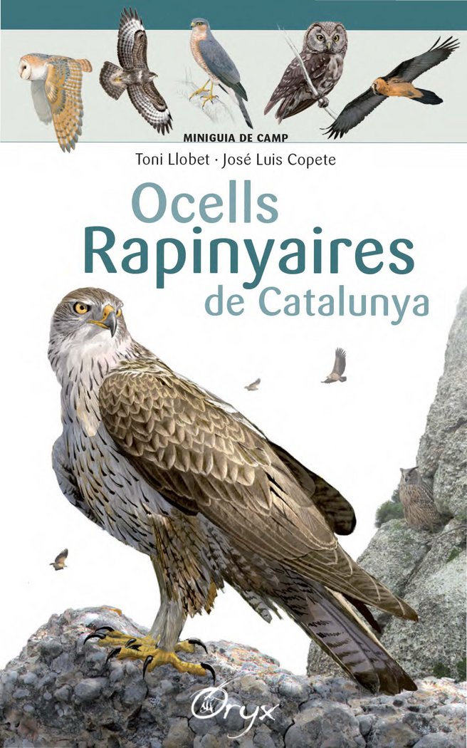 OCELLS RAPINYAIRES DE CATALUNYA - 9788490346785 Imagen principal del producto