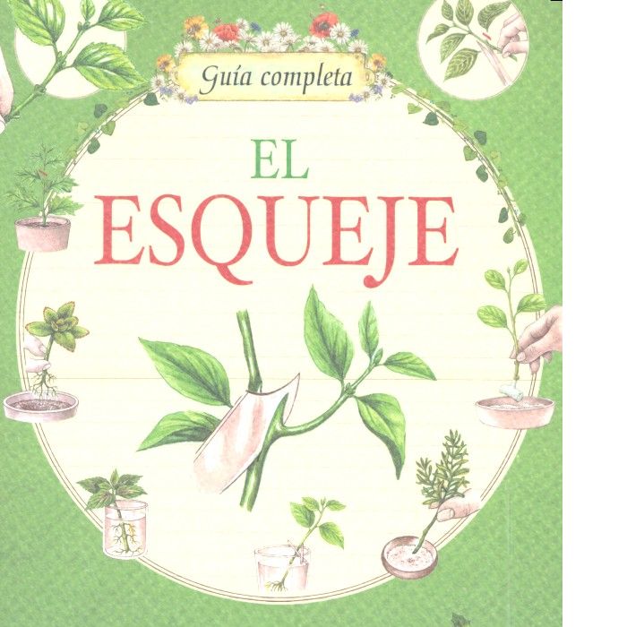 ESQUEJE GUIA COMPLETAEL - 9788490870716 Imagen principal del producto