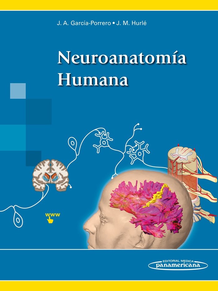 NEUROANATOMIA HUMANAVERSION DIGITAL - 9788491107453 Imagen principal del producto