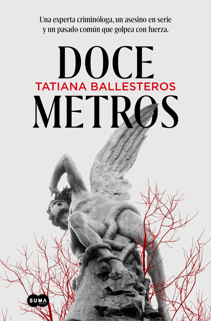 DOCE METROS - 9788491296485 Imagen principal del producto