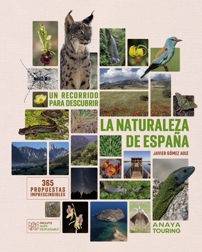 9788491588733 Imagen principal del producto