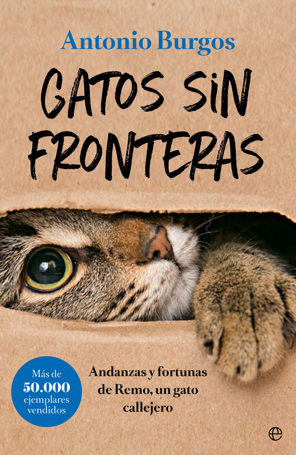 GATOS SIN FRONTERAS - 9788491644248 Imagen principal del producto