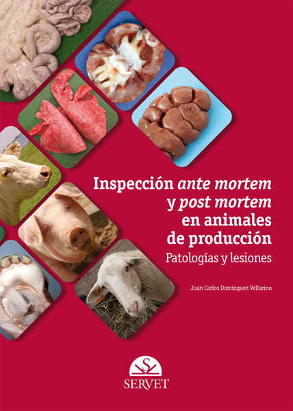 INSPECCION ANTE MORTEM Y POS MORTEM EN ANIMALES DE PRODUCCIO - 9788492569595 Imagen principal del producto