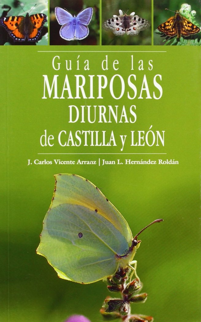 GUIA DE LAS MARIPOSAS DIURNAS DE CASTILLA Y LEON - 9788493523213 Imagen principal del producto
