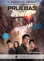 CORREDOR DEL LABERINTO II PRUEBAS | Dashner,james | 9788493920005 (Nocturna)