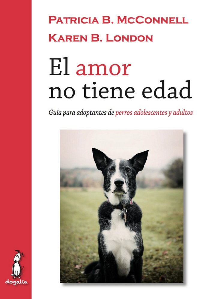 AMOR NO TIENE EDADEL - 9788494290022