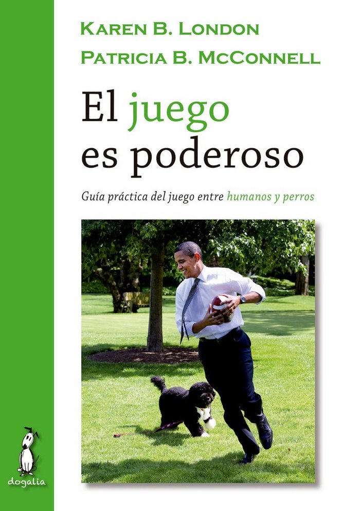 JUEGO ES PODEROSOEL - 9788494290060