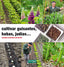 CULTIVAR GUISANTES HABAS JUDIAS - 9788494433412
