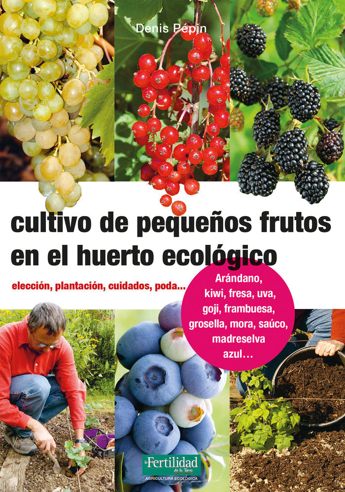 CULTIVO DE PEQUEÑOS FRUTOS EN EL HUERTO ECOLOGICO - 9788494826788 Imagen principal del producto