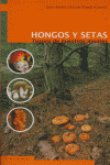 HONGOS Y SETAS - 9788495018977 Imagen principal del producto