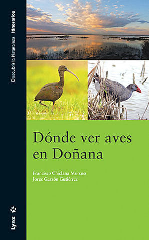 DONDE VER AVES EN DOÑANA - 9788496553194 Imagen principal del producto