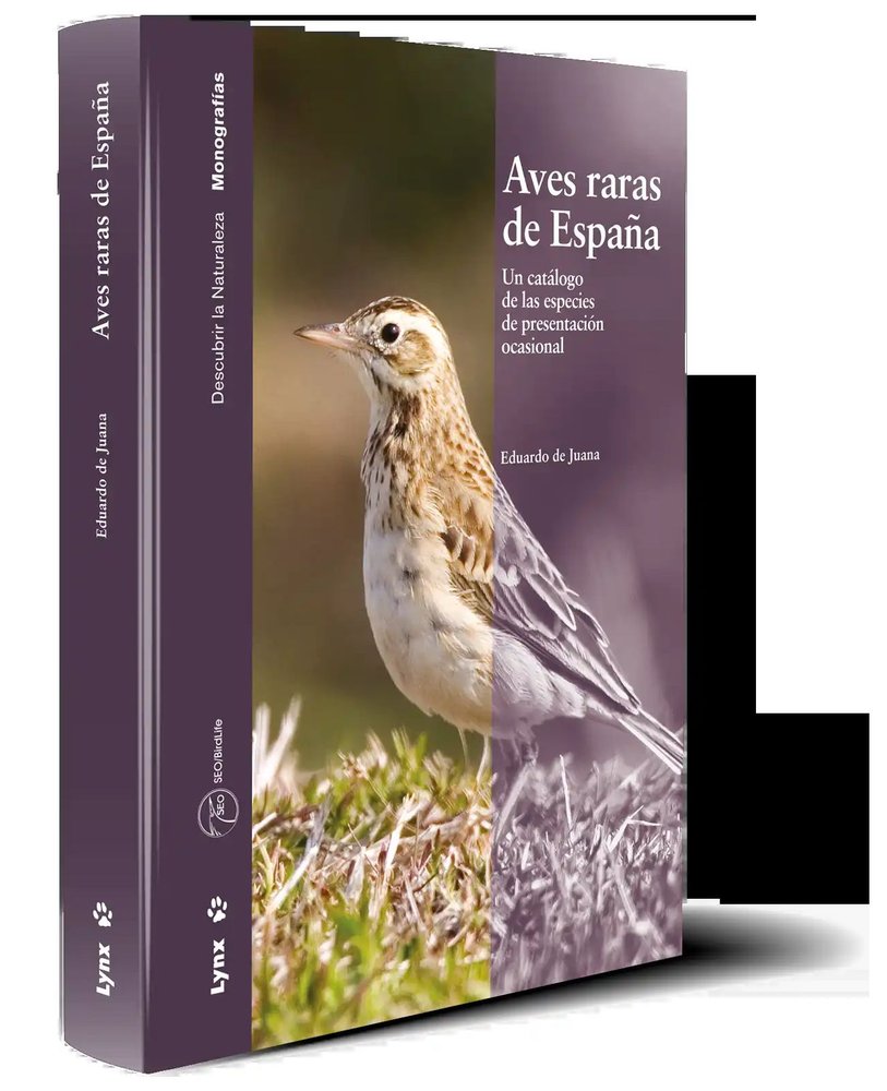 AVES RARAS DE ESPAÑA - 9788496553255 Imagen principal del producto