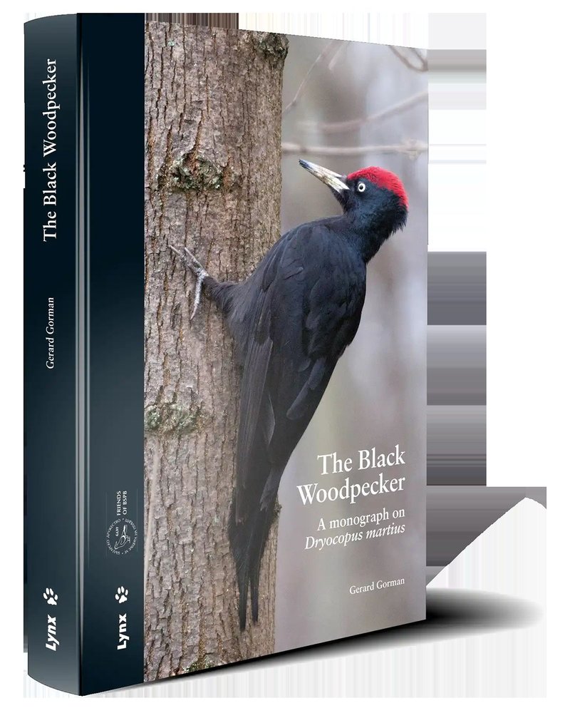 THE BLACK WOODPECKER - 9788496553798 Imagen principal del producto