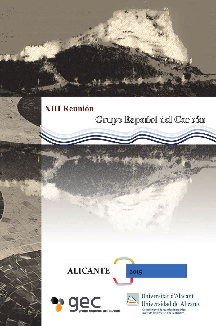 XIII REUNION DEL GRUPO ESPAÑOL DEL CARBON - 9788497173933