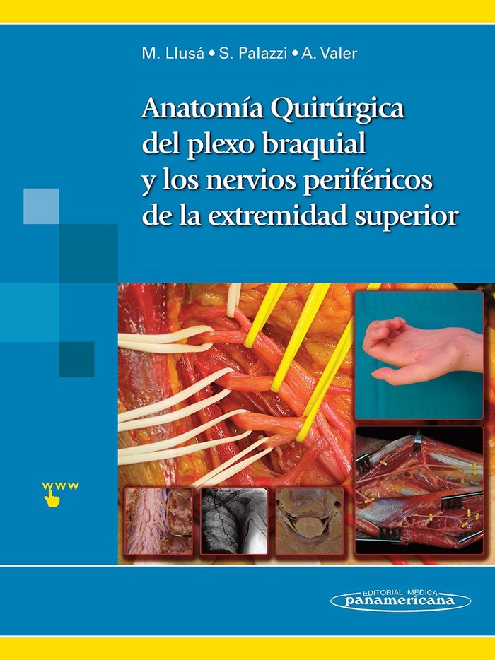 ANATOMIA QUIRURGICA DEL PLEXO BRAQUIAL Y NERVIOS PERIFERICOS - 9788498356106 Imagen principal del producto