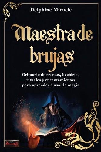 MAESTRA DE BRUJAS I Delphine Miracle I Robinbook I 9788499177328 Imagen principal del producto