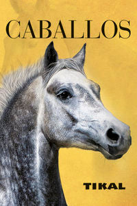FOTOLIBROS ESTUCHE CABALLOS - 9788499283999 Imagen principal del producto