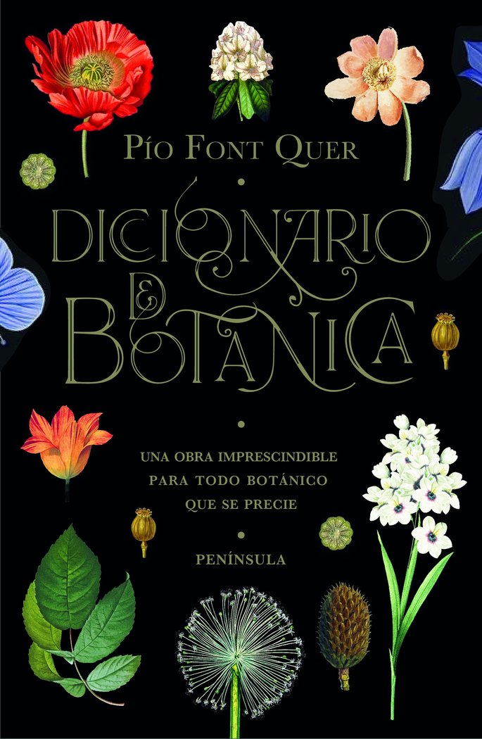9788499429076 Imagen principal del producto