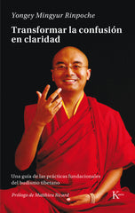 TRANSFORMAR LA CONFUSION EN CLARIDAD - 9788499884943