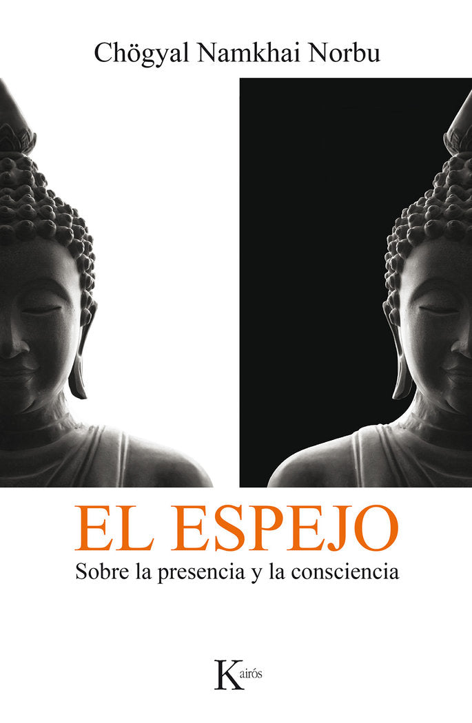 ESPEJOEL - 9788499886473