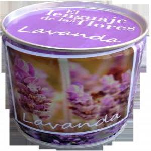 SEMILLAS LAVANDA | MAGAZZINI SALANI | 1 UNIDAD | 9788862129718
