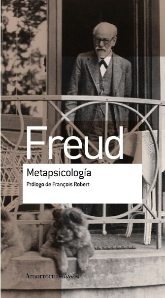 METAPSICOLOGIA - 9789505188666