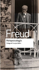 METAPSICOLOGIA - 9789505188666