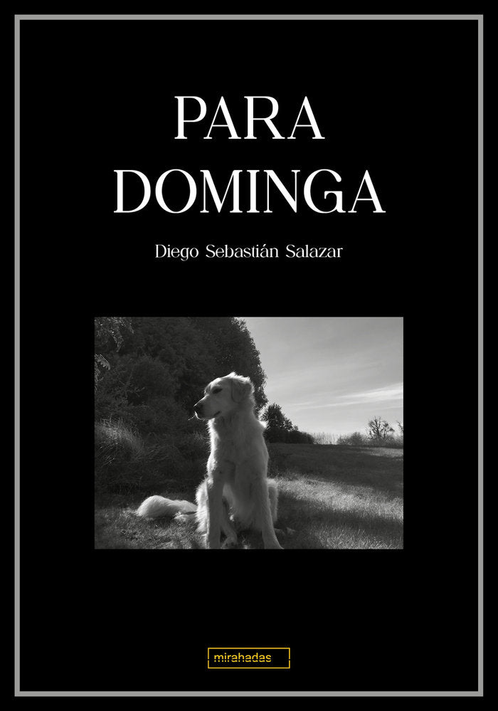 PARA DOMINGA - 9791387663032 Imagen principal del producto