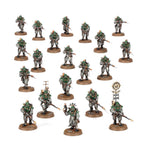 ✅ SOLAR AUXILIA BATTLE GROUP