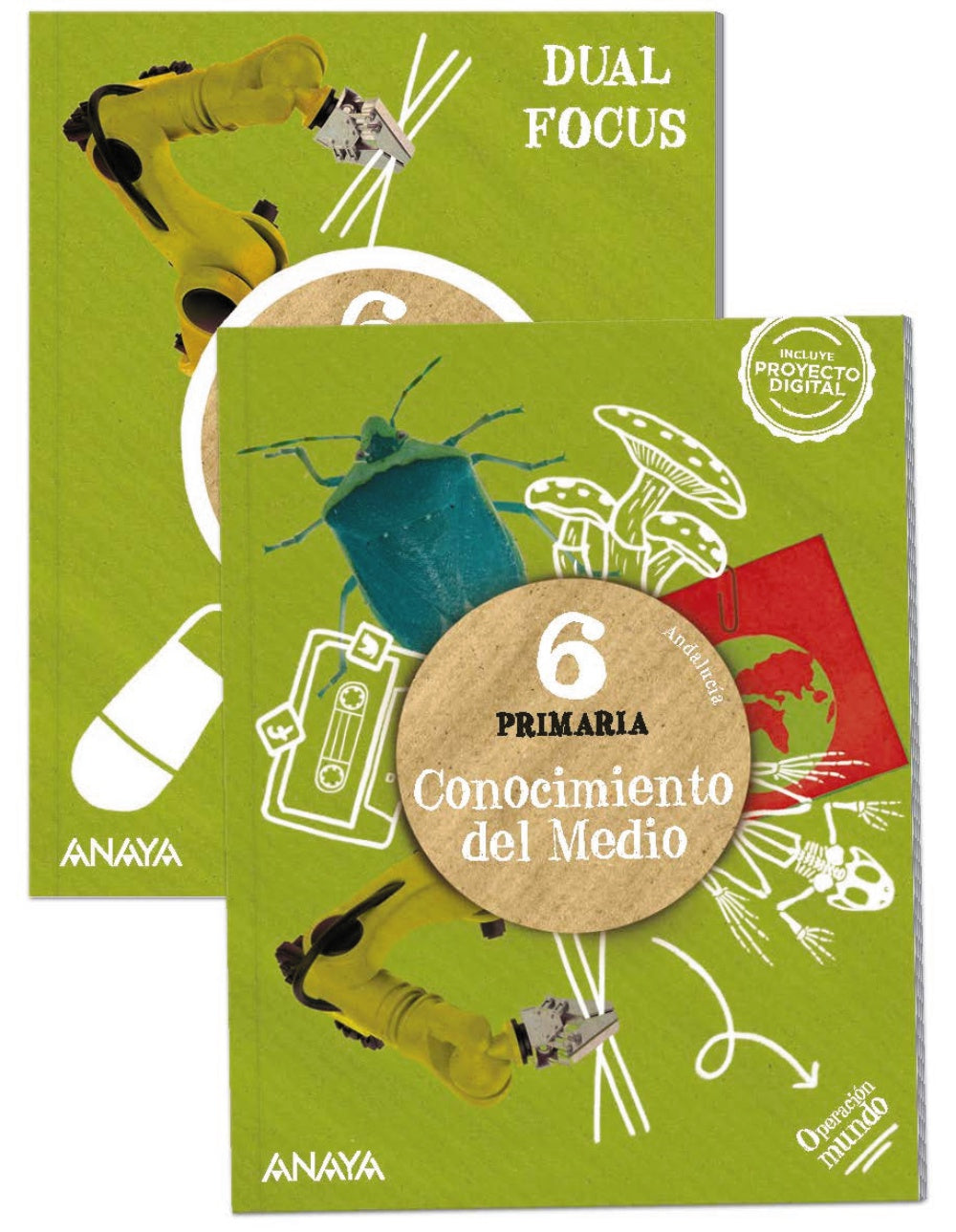 Conocimiento del medio 6. + Science 6. Dual focus (6º Primaria) Operación Mundo | Varios autores | 9788414322789 (ANAYA TEXTO) Imagen principal del producto