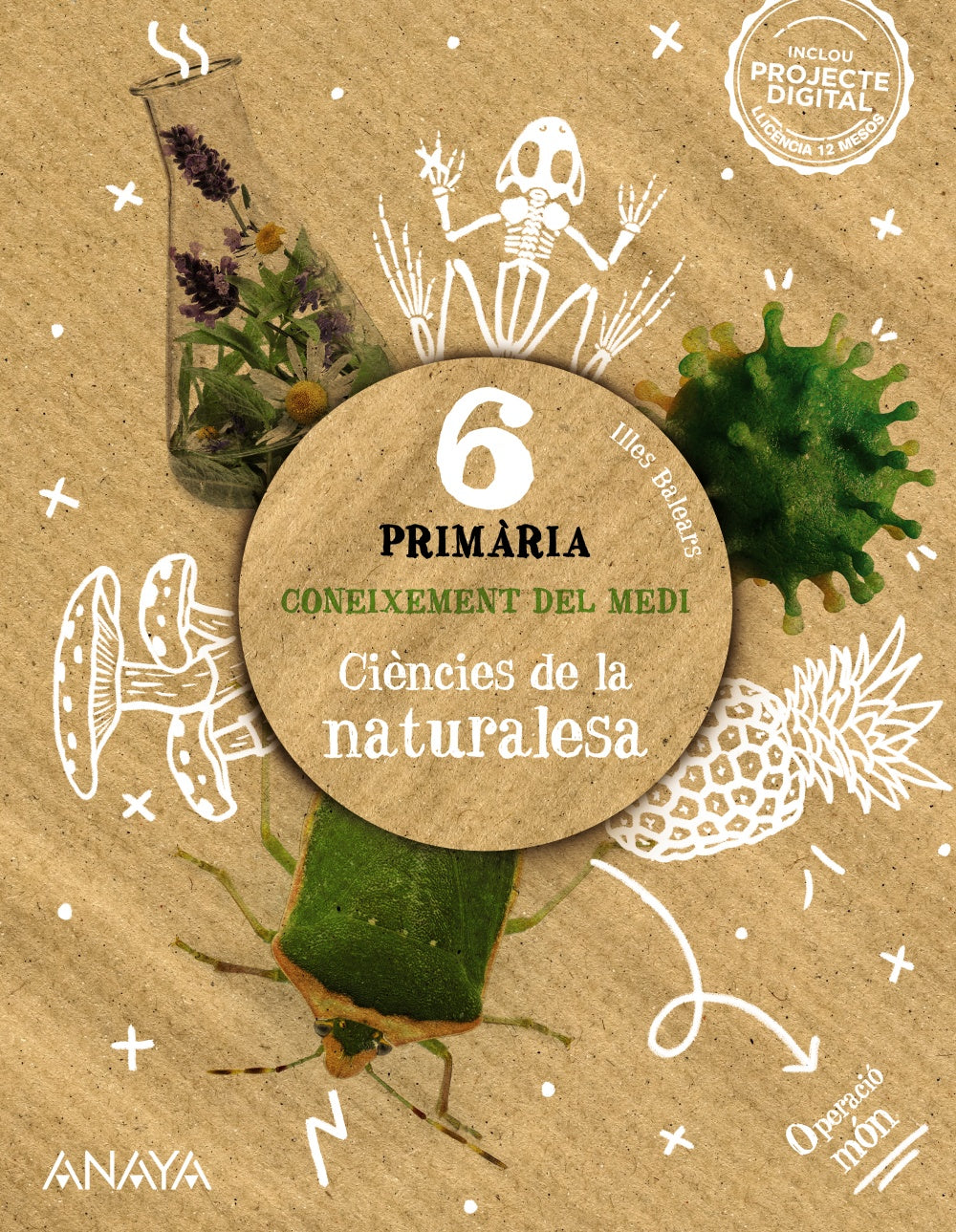 Coneixement del medi. Ciències de la naturalesa 6. (6º Primaria) Operació món | Varios autores | 9788414323298 (ANAYA TEXTO) Imagen principal del producto